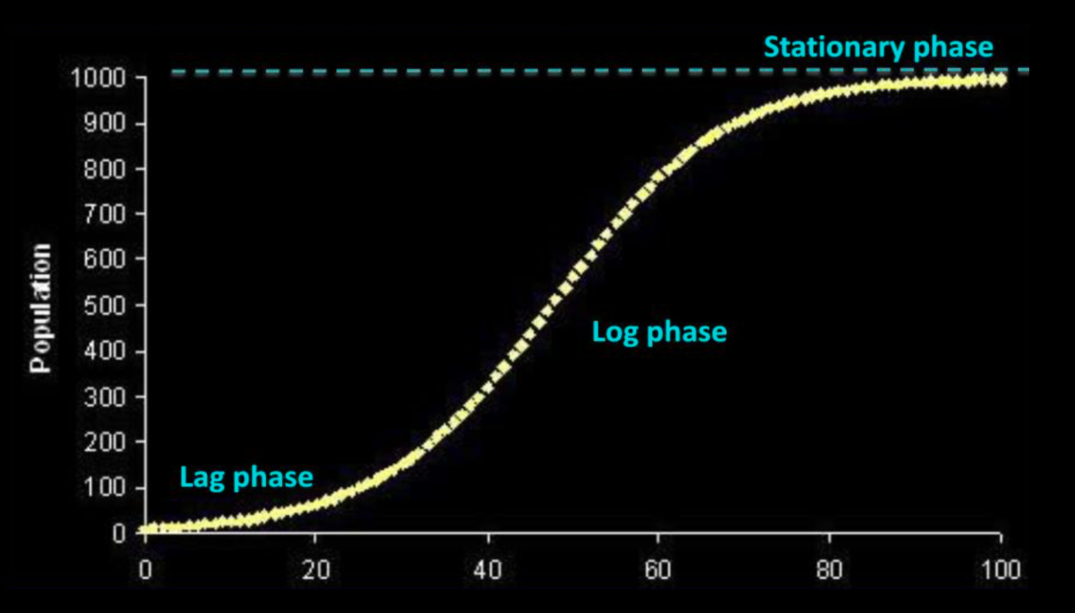 Phases of Logistic Growth
