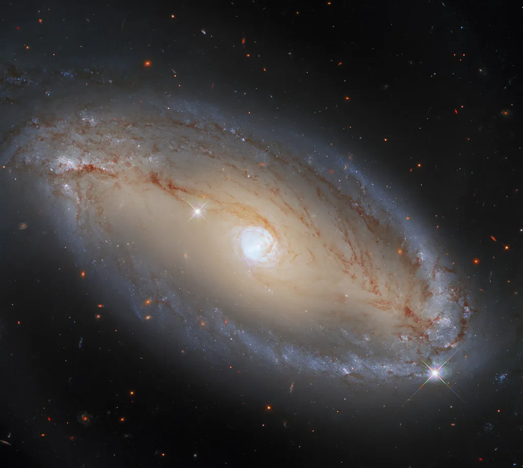 Elliptical Galaxy